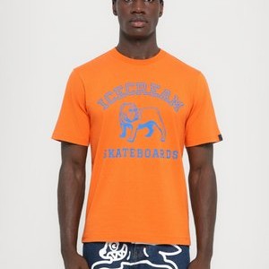 BULLDOG - Print T-shirt - orange BULLDOG - Print T-shirt - orange