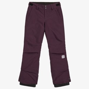STAR REGULAR - Ski pants - aubergine STAR REGULAR - Ski pants - aubergine